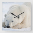 Search for churchill clocks Canada
