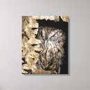 Search for woodland animals canvas prints Owls