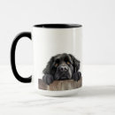 Search for newfoundland dog mugs Animal