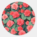 Search for begonia stickers Plant