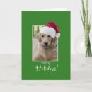 Search for dog walker christmas cards Santa