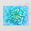 Search for turquoise flowers postcards Floral