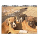 Search for 2010 calendars Boxer