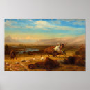 Search for albert bierstadt posters Buffalo
