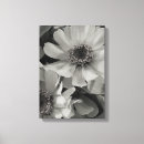 Search for susan canvas prints Daisy
