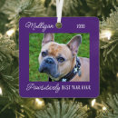 Search for quarantine christmas tree decorations Pandemic