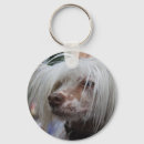 Search for hairless key rings Crested