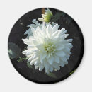 Search for flowres White