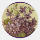 Search for embossing stickers Nature