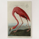 Search for audubon birds puzzles Picture