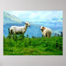 Search for ewe art Farms