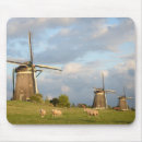 Search for sheep mousepads Nature