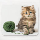 Search for young electronics Baby animals