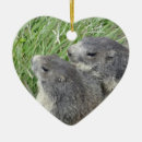Search for groundhog christmas tree decorations Nature