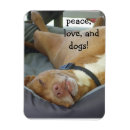 Search for rescue dogs rectangular magnets Dog lover