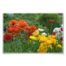 Search for grass flower posters Green
