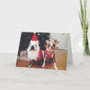 Search for anthropomorphic animals cards Photography