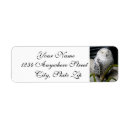 Search for snowy owl return address labels Bird