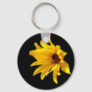 Search for isolate key rings Background