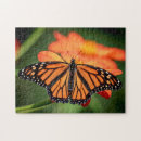 Search for monarch butterfly gifts Summer garden