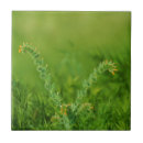 Search for wild tiles Green