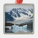 Search for arctic christmas tree decorations Cold