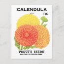 Search for vintage flower seeds postcards Retro