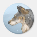 Search for grey wolves magnets Canine