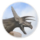 Search for dinosaur knobs and pulls Boy
