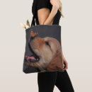 Search for golden retriever bags Pets