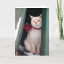 Search for siamese christmas cards Cat