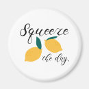 Search for squeeze magnets Squeeze the day