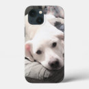 Search for outs iphone cases For him