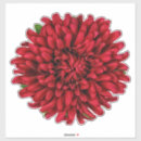 Search for red dahlia stickers Botanical