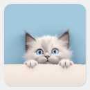 Search for peeking cat stickers Cute