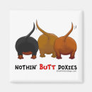 Search for dashound Doxie