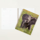 Search for reserves office supplies Maasai mara national reserve