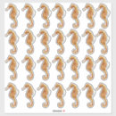 Search for sea horse stickers Watercolor