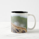 Search for kruger mugs South africa