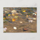 Search for pond photography Fall