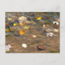 Search for water fall postcards Nature