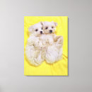 Search for breed canvas prints Cute