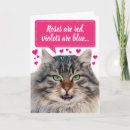 Search for funny cat valentines day cards Humour