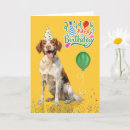 Search for brittany dog cards Dogs