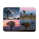 Search for joshua tree national rectangular magnets California
