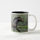 Search for thoroughbred horse mugs Animal