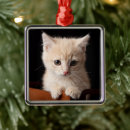 Search for ginger cat christmas tree decorations Feline