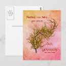 Search for peace flower postcards Inspirational