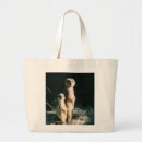 Search for meerkats bags Africa