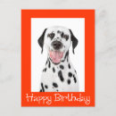 Search for dalmatian birthday cards Dog
